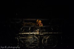 DSC_0077