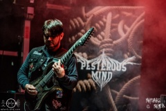 Pesterous-Minds-Schlichtenfest-Open-Air-Sa-30-07-2022-MM-7596